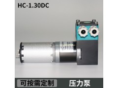 HC1.30DC.M美创力喷码机有刷压力泵微型高压泵