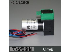 HC22DCB厂家直销依码仕9018溶剂泵