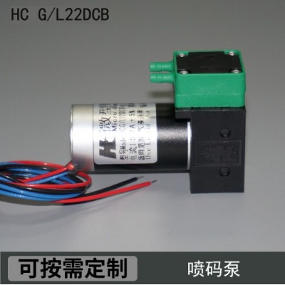 HC22DCB厂家直销依码仕9018溶剂泵