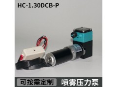 HC1.30DCB-P尿素喷雾压力泵南华喷码机高压泵