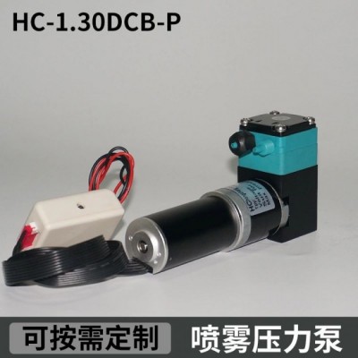 HC1.30DCB-P尿素喷雾压力泵南华喷码机高压泵