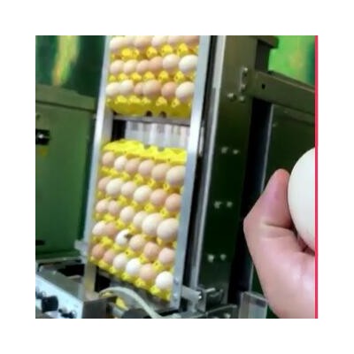 成都鸡蛋喷码机食品生产日期小字符喷码机