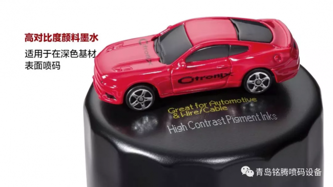 青岛4.webp