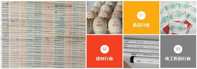 金诺1