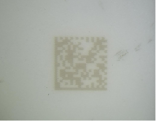 微信图片_20240712135404