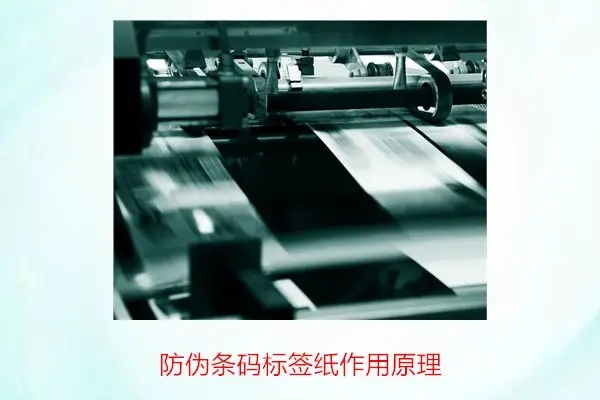 微信图片_20250801093434
