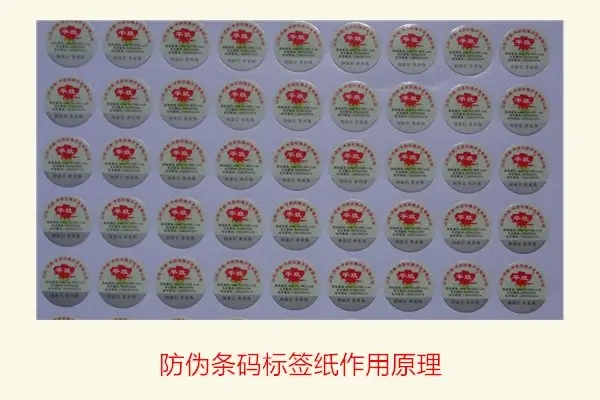 微信图片_20250801093445