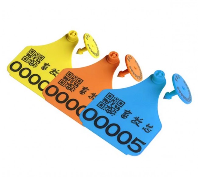 微信图片_20251110095456