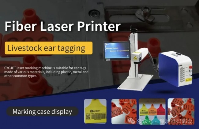 微信图片_20251124134409