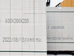 水泥加气砖喷码机 在线喷码机 典码