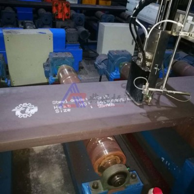 钢板白墨喷码机 在线喷码机 大字符喷码机 典码