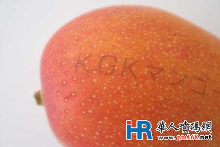 日本KGK喷码机 好用、耐用、省用